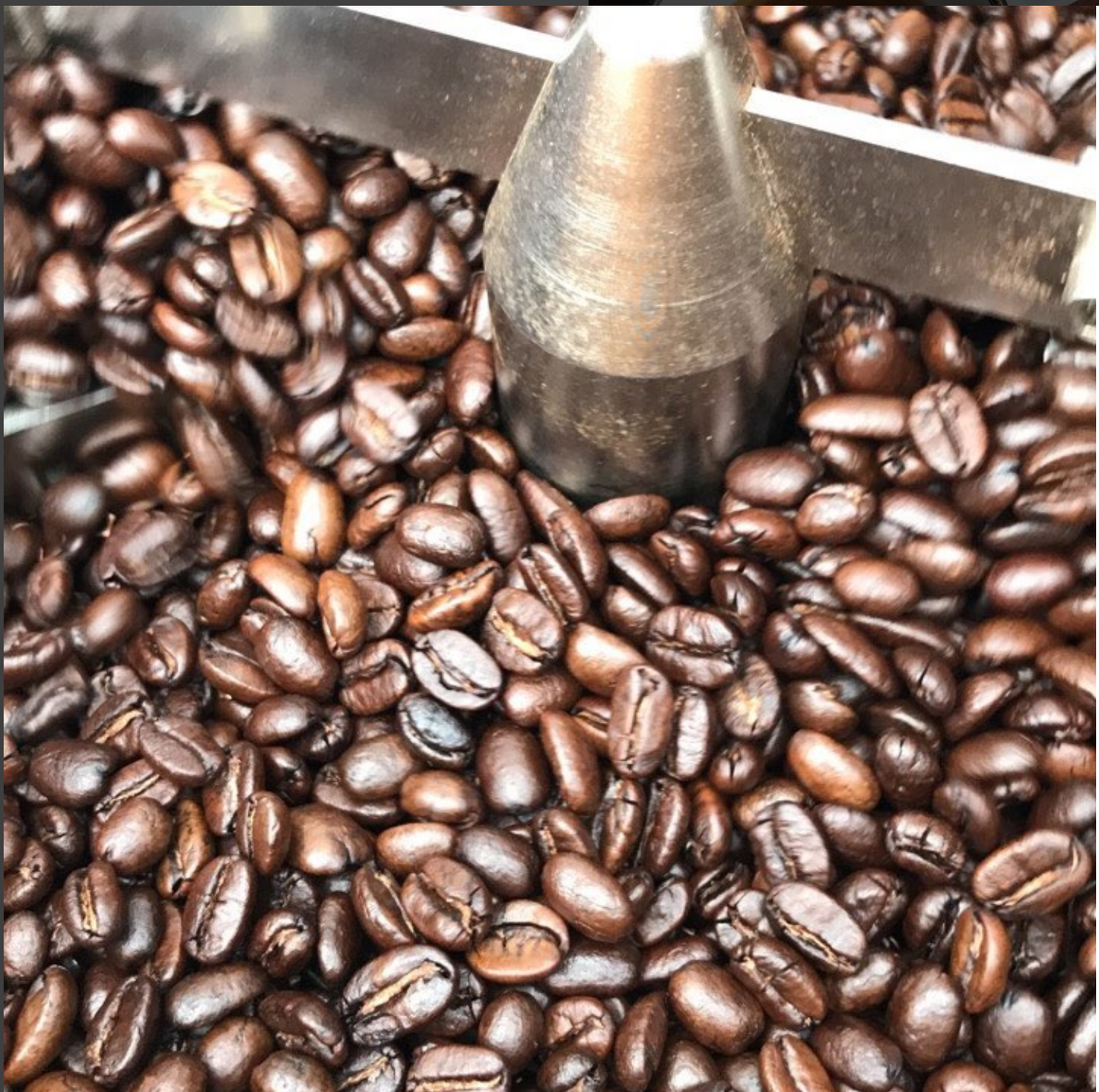 Sumatra Mandheling G1