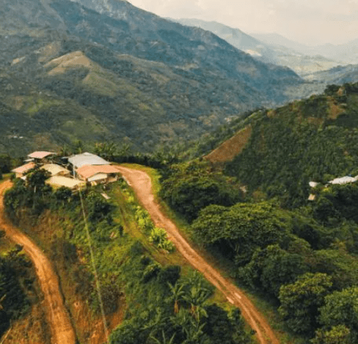 Colombia Seleccion Planadas Organic