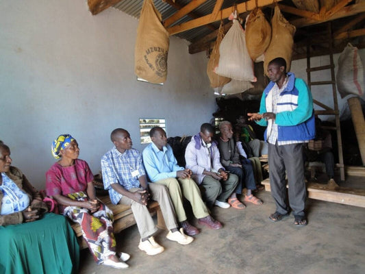 Malawi Mzuzi AB