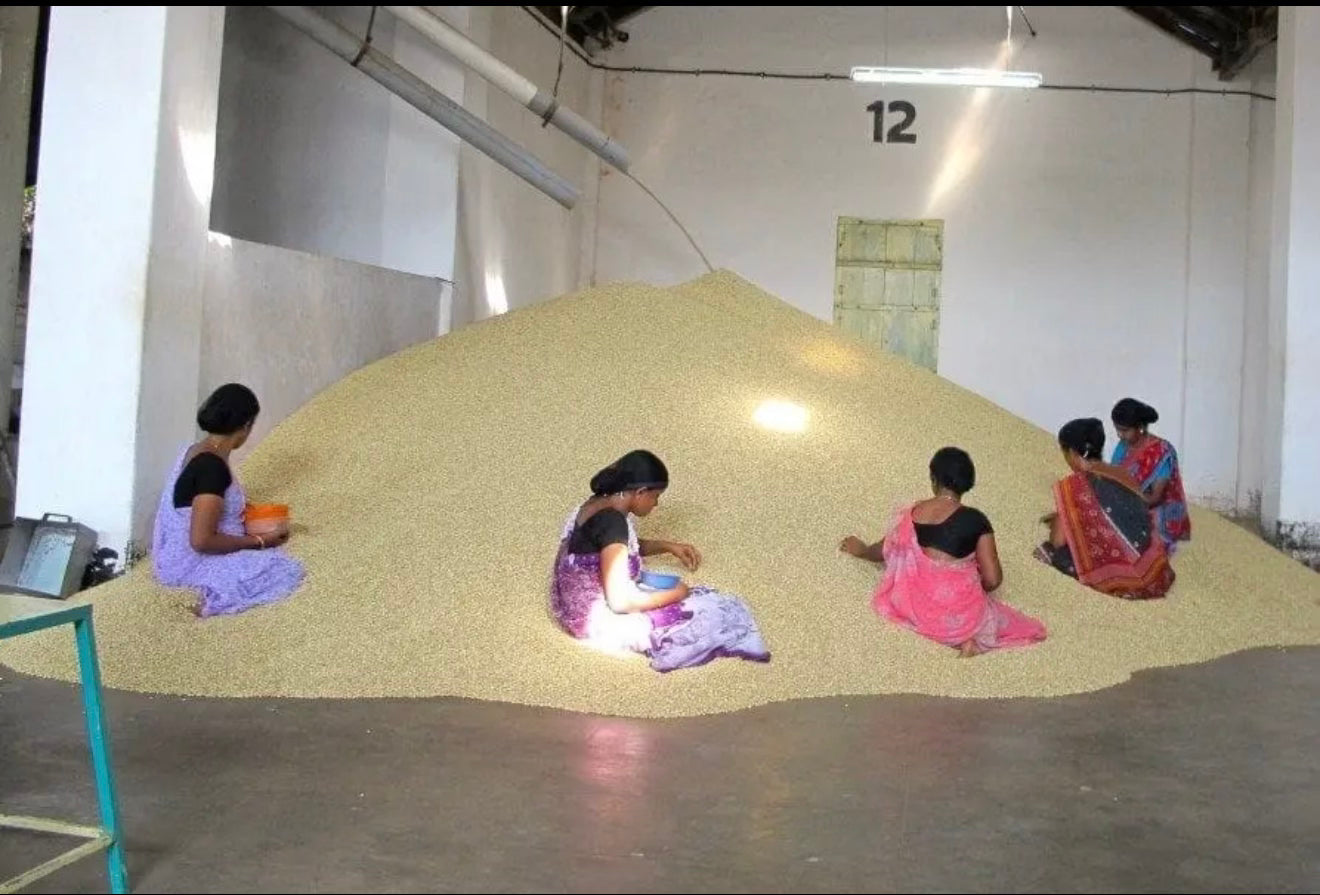 India Monsooned Malabar