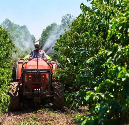 Kenya AA Eaagads Estate