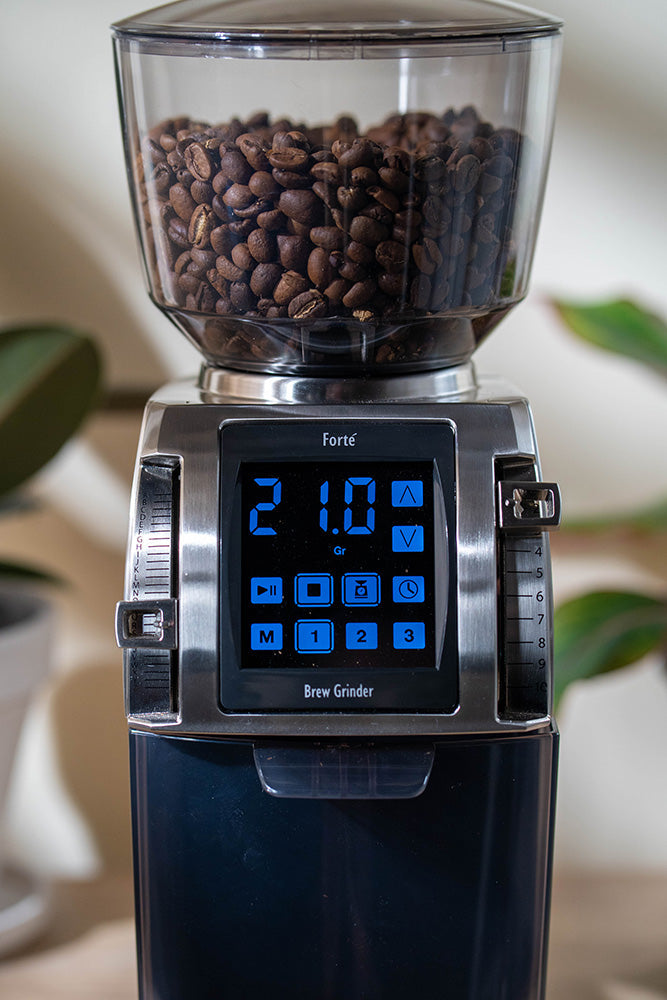 Baratza Forté BG Coffee Grinder