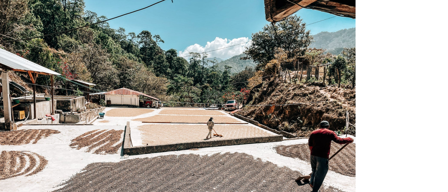 Rancho Morelia