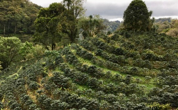 Guatemala Huehuetenango